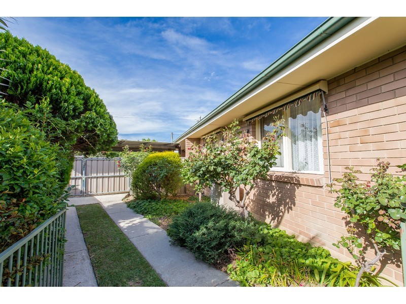 329 Haines Court, Lavington NSW 2641