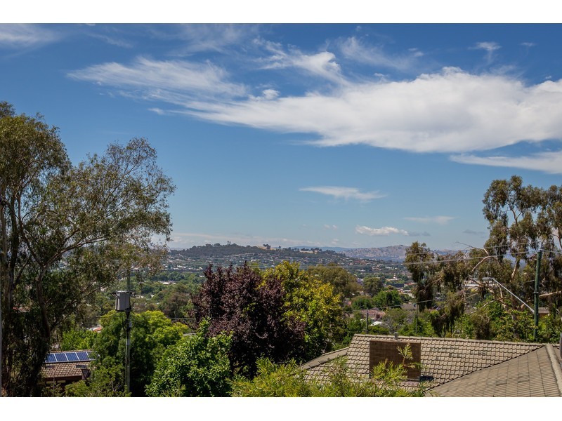739 Yambla Place, Albury NSW 2640