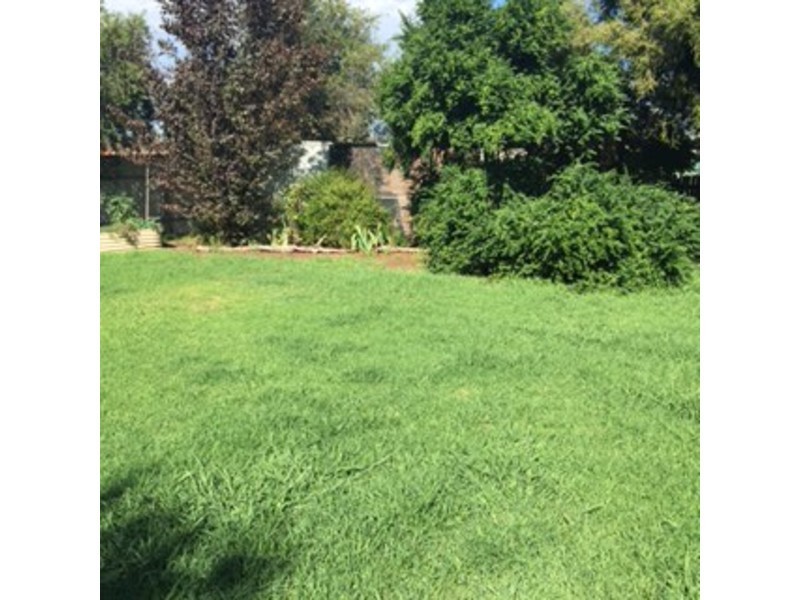 15 Corrang Place, Springdale Heights NSW 2641