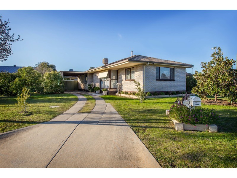 437 Davern Place, Lavington NSW 2641