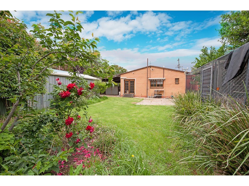 534 Douglas Road, Lavington NSW 2641