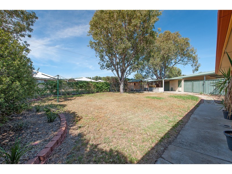4 Budginigi Place, Thurgoona NSW 2640