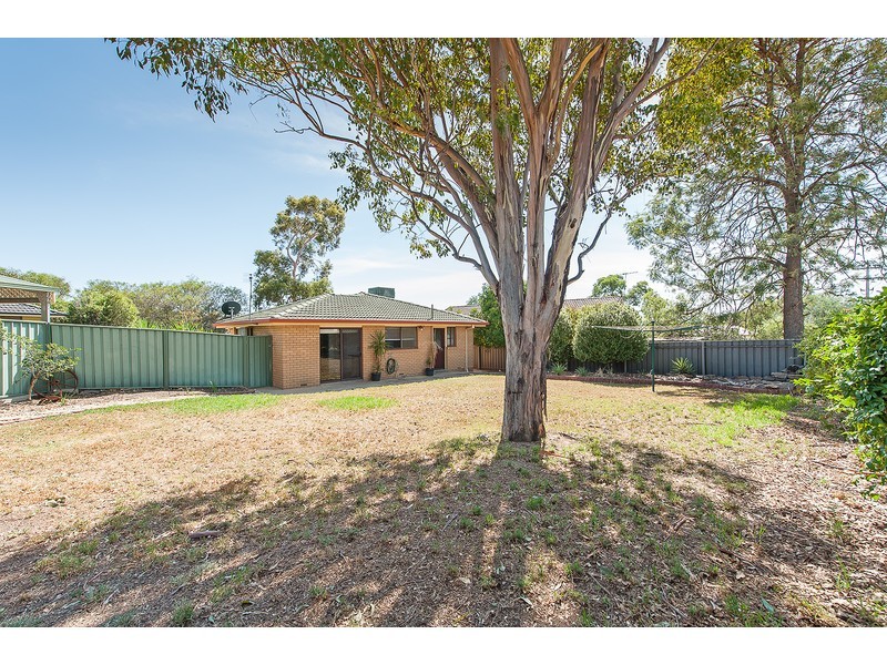4 Budginigi Place, Thurgoona NSW 2640