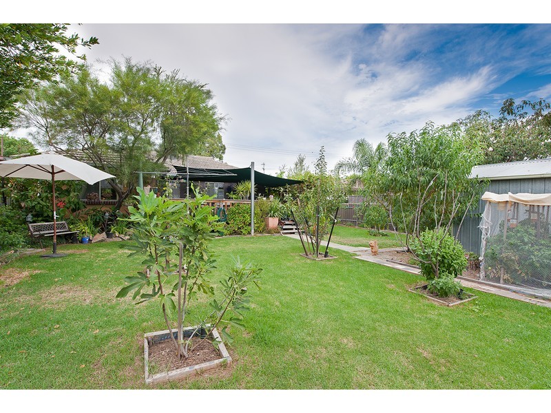 538 Douglas Road, Lavington NSW 2641