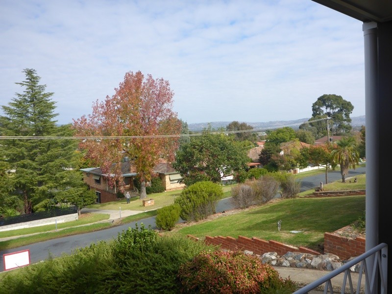 236 Bernhardt Street, East Albury NSW 2640