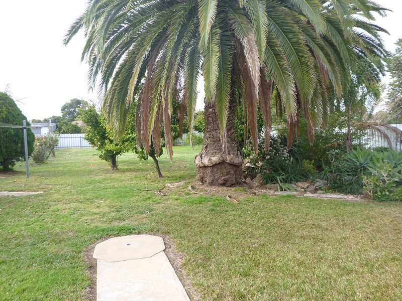 460 Bownds Street, Lavington NSW 2641