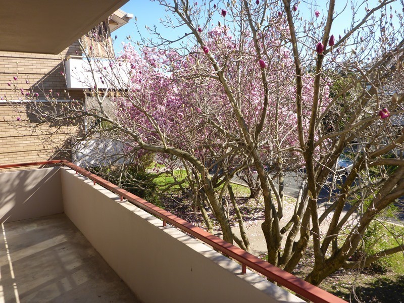 3/523 Kiewa Place, Albury NSW 2640
