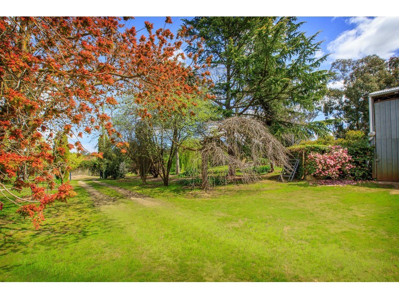 204 Splitters Creek Road, Splitters Creek NSW 2640