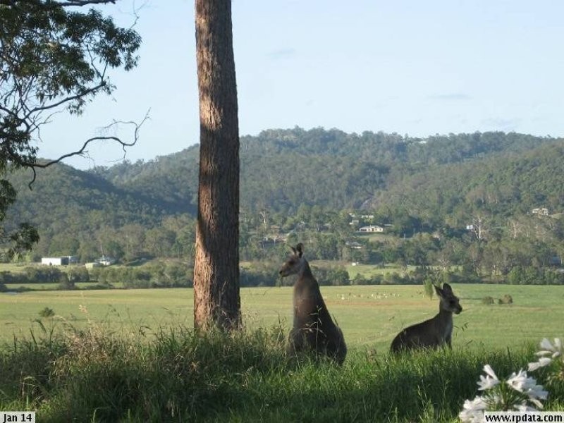 250 Yandina Bli Bli Road, Maroochy River QLD 4561