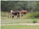 Lot 4, 580 Glenview Road, Glenview QLD 4553