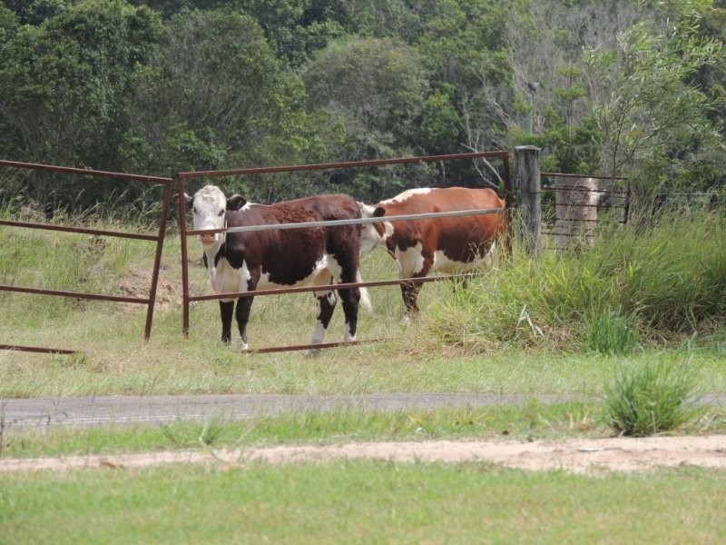 Lot 4, 580 Glenview Road, Glenview QLD 4553