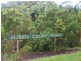 Lot 7 Suzen Court, Mooloolah Valley QLD 4553