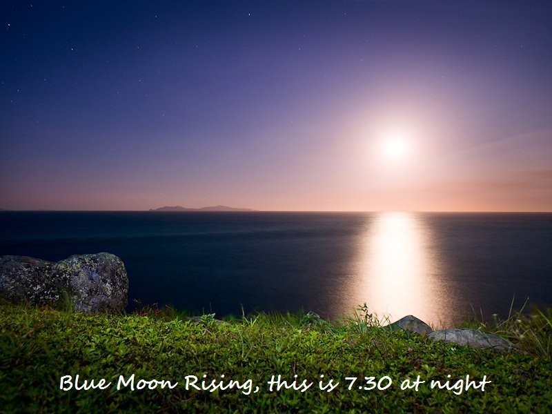 60 Ian Wood Drive, Dolphin Heads QLD 4740