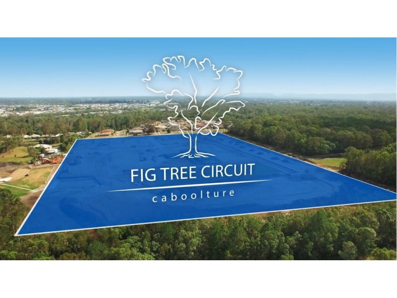 Lot 19, 125 Jensen Road, Caboolture QLD 4510