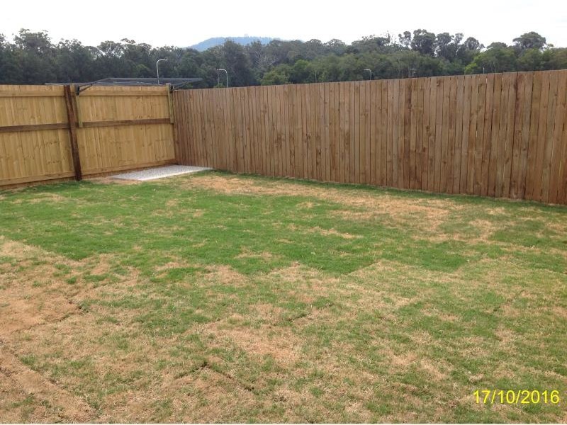 1/42 Featherwood Crescent, Beerwah QLD 4519