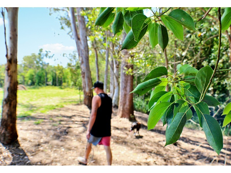 Lot 57, 6 Pinnacles Drive, Glass House Mountains QLD 4518