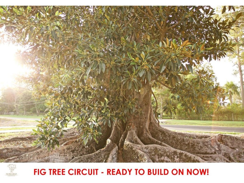 Lot 6, 133 Jensen Road, Caboolture QLD 4510