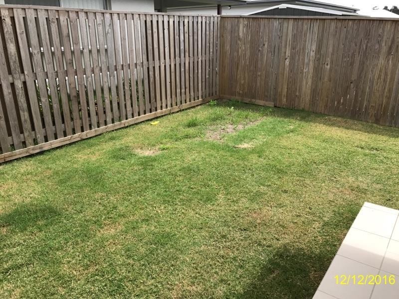 1/97 Creekwood Avenue, Meridan Plains QLD 4551