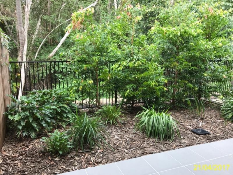 56/17 Greensboro Place, Little Mountain QLD 4551