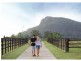53 Poole Road, Glass House Mountains QLD 4518