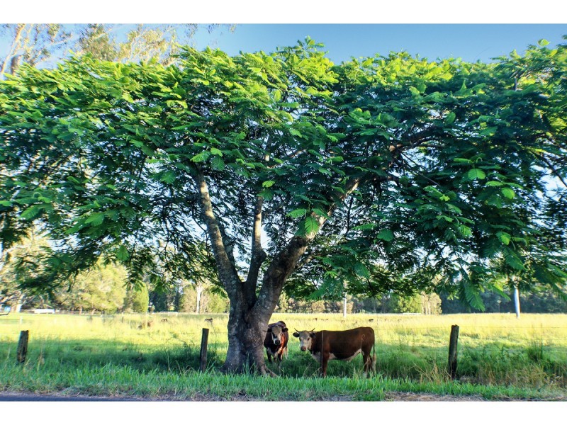 6 Summit Close, Glass House Mountains QLD 4518