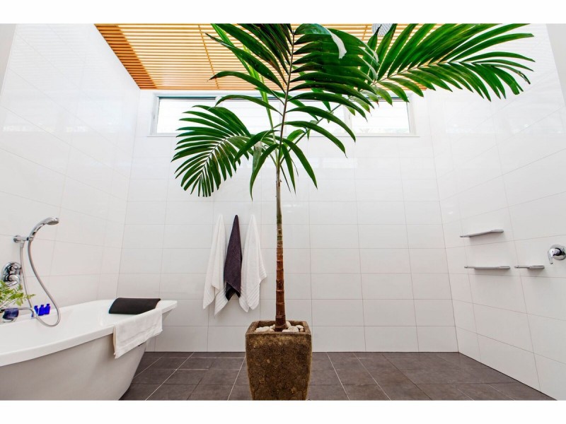 278 Upper Rosemount Road, Rosemount QLD 4560