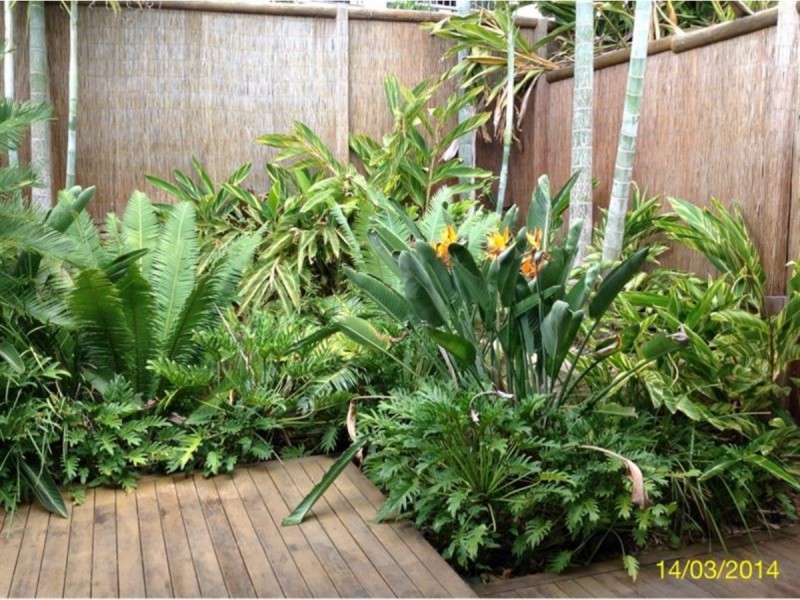 13 Waratah Crescent, Springfield Lakes QLD 4300