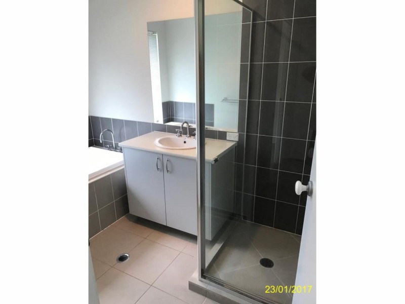 17 Red Cedar Street, Sippy Downs QLD 4556