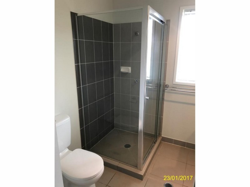 17 Red Cedar Street, Sippy Downs QLD 4556