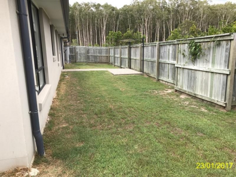 17 Red Cedar Street, Sippy Downs QLD 4556