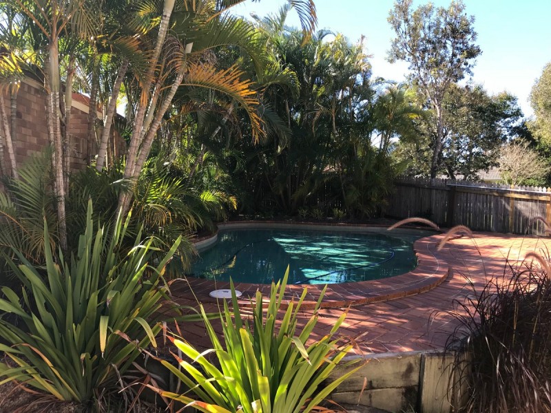 4 Beaverbrook Circuit, Sippy Downs QLD 4556