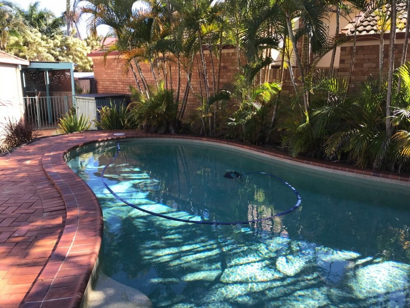 4 Beaverbrook Circuit, Sippy Downs QLD 4556
