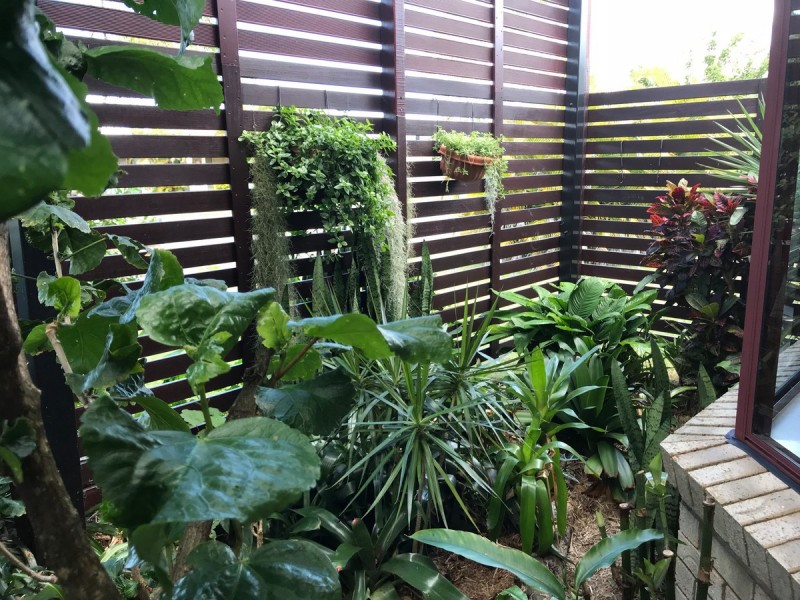 17 Parkville Street, Sippy Downs QLD 4556