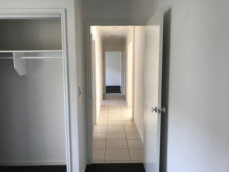 33 Red Cedar Street, Sippy Downs QLD 4556