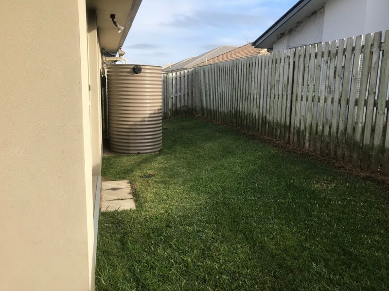 33 Red Cedar Street, Sippy Downs QLD 4556