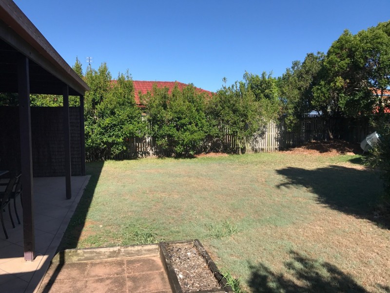 61 Statesman Circuit, Sippy Downs QLD 4556