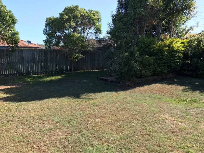 61 Statesman Circuit, Sippy Downs QLD 4556