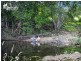 Lot 2 ‘Yandina Fores/33 Carnival Street, Yandina QLD 4561