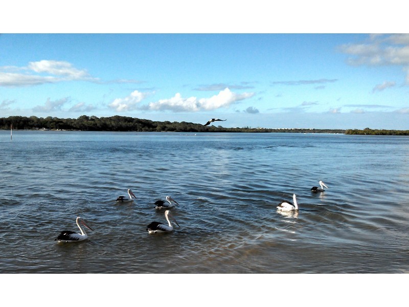 9/6 Ann-Maree CL, Maroochydore QLD 4558