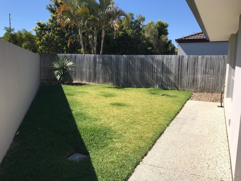16 Bainbridge Circuit, Sippy Downs QLD 4556