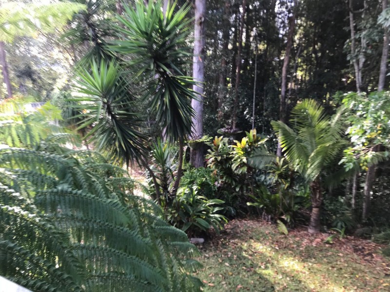 33 Fern Gully Place, Mooloolah Valley QLD 4553