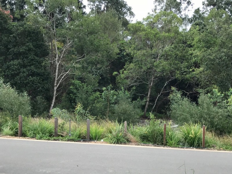 82 Creekside Drive, Nambour QLD 4560