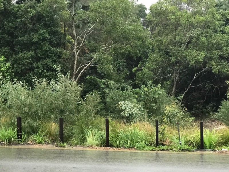 82 Creekside Drive, Nambour QLD 4560