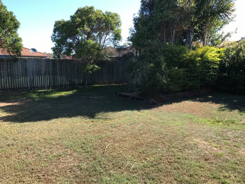 61 Statesman Circuit, Sippy Downs QLD 4556