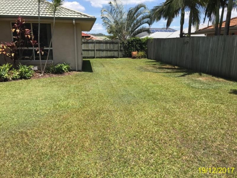 31 Lacewing Drive, Sippy Downs QLD 4556