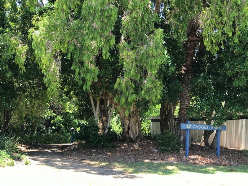 6 Avocet Court, Wurtulla QLD 4575