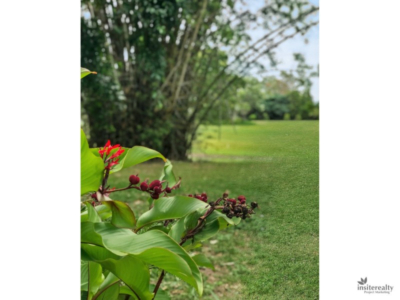 11 Durham Place, Glenview QLD 4553