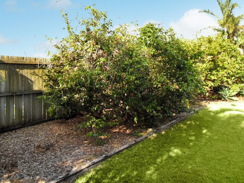 11 Dorian Crescent, Sippy Downs QLD 4556