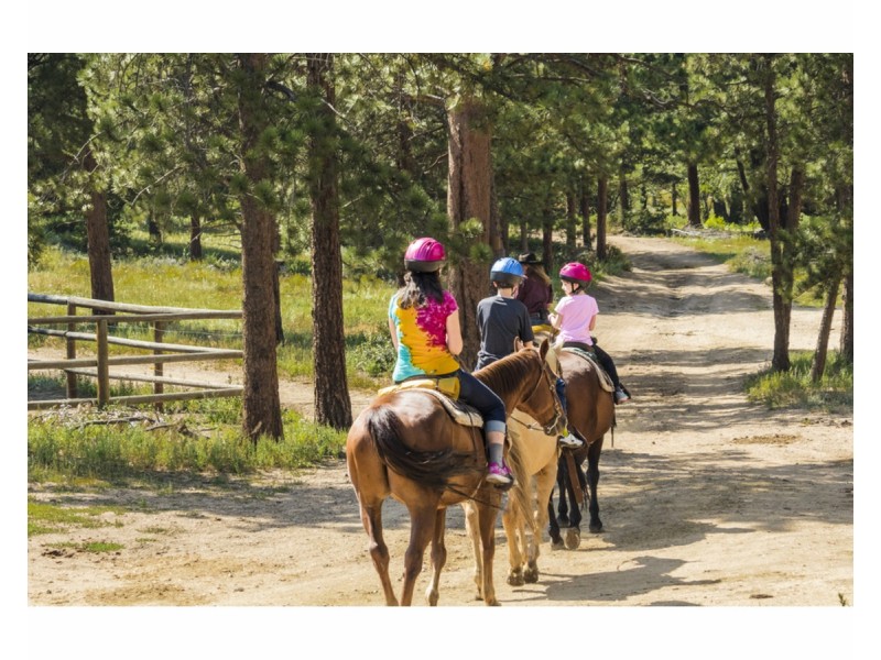 3 Haven Court, Mooloolah Valley QLD 4553