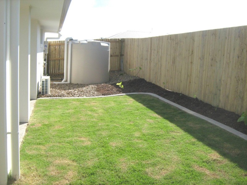 37 Red Cedar Street, Sippy Downs QLD 4556